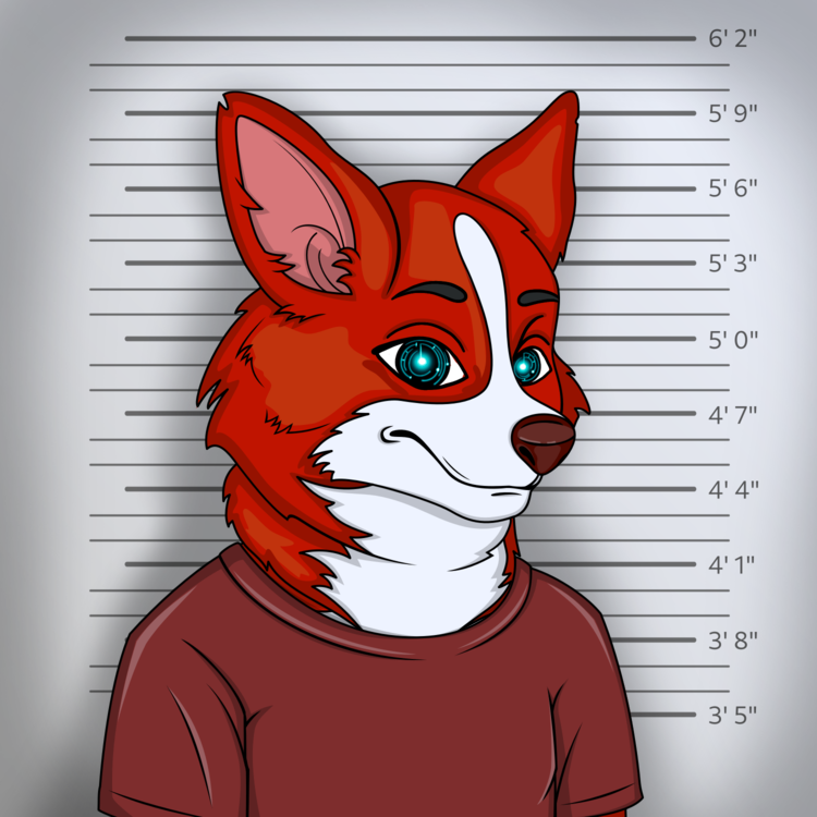 Media for Corgi Club #99 item